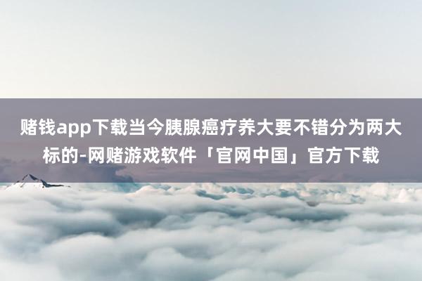 赌钱app下载当今胰腺癌疗养大要不错分为两大标的-网赌游戏软件「官网中国」官方下载