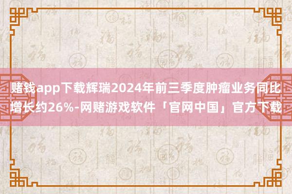 赌钱app下载辉瑞2024年前三季度肿瘤业务同比增长约26%-网赌游戏软件「官网中国」官方下载