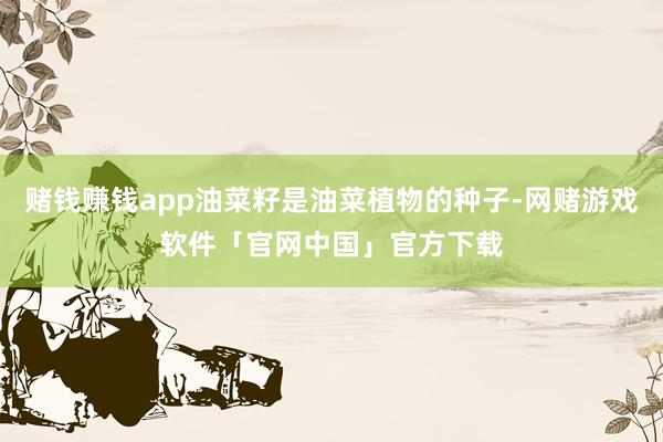 赌钱赚钱app油菜籽是油菜植物的种子-网赌游戏软件「官网中国」官方下载