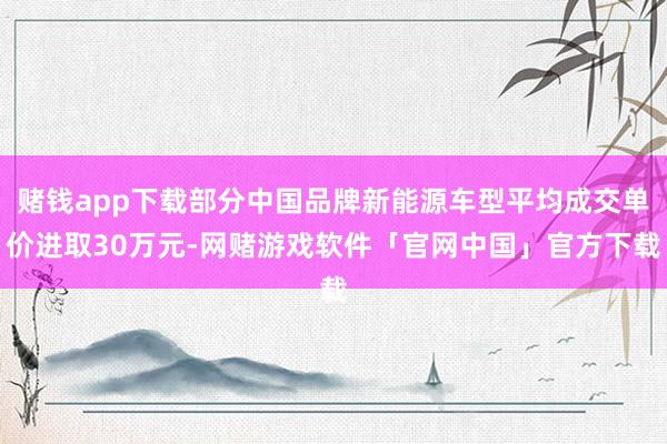 赌钱app下载部分中国品牌新能源车型平均成交单价进取30万元-网赌游戏软件「官网中国」官方下载