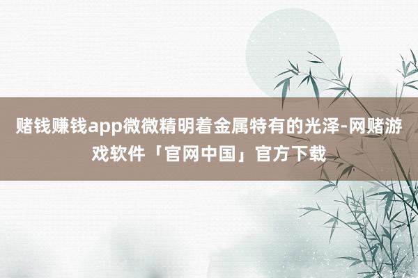 赌钱赚钱app微微精明着金属特有的光泽-网赌游戏软件「官网中国」官方下载