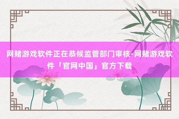 网赌游戏软件正在恭候监管部门审核-网赌游戏软件「官网中国」官方下载