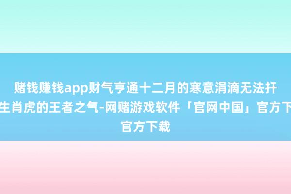 赌钱赚钱app财气亨通十二月的寒意涓滴无法扞拒生肖虎的王者之气-网赌游戏软件「官网中国」官方下载